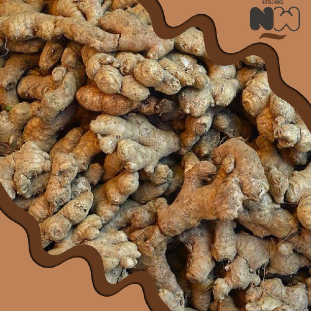 

Jahe Emprit — Rempah Herbal Pedas Khas Nusantara