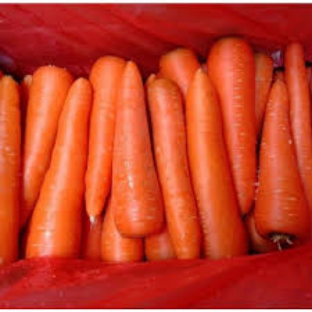 

wortel brastagi, wortel super, wortel fresh, carrot fresh, wortel segar 500gram