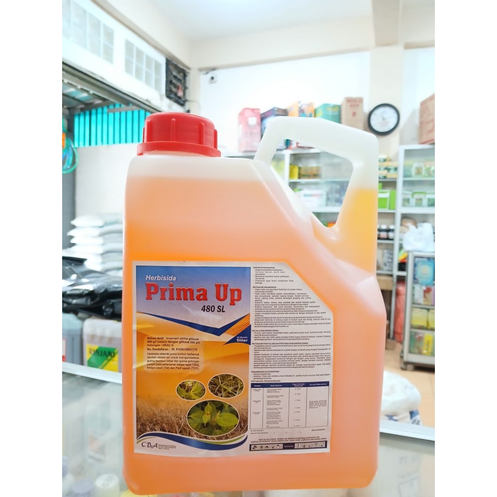 Prima Up 480SL 5 Liter - Herbisida Racun Rumput Sistemik