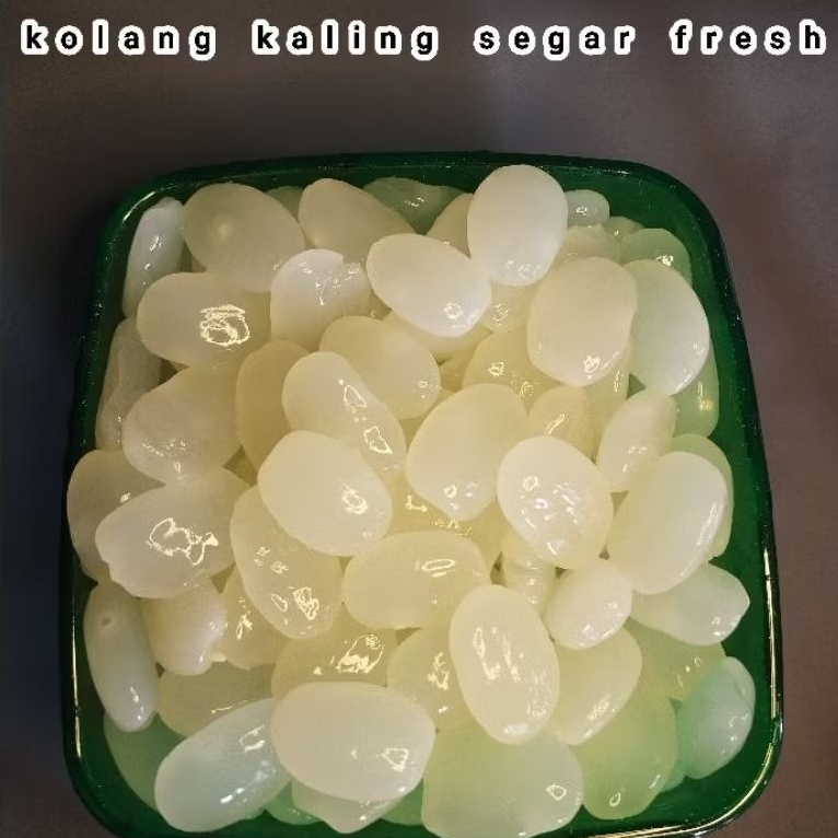 

Kolang Kaling /cangkaleng Buah Pohon Aren Segar berat (3 Kg)