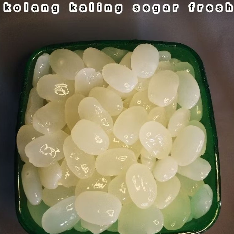 

Kolang Kaling /Caruluk Segar Fresh (Mentah) Berat 1Kg