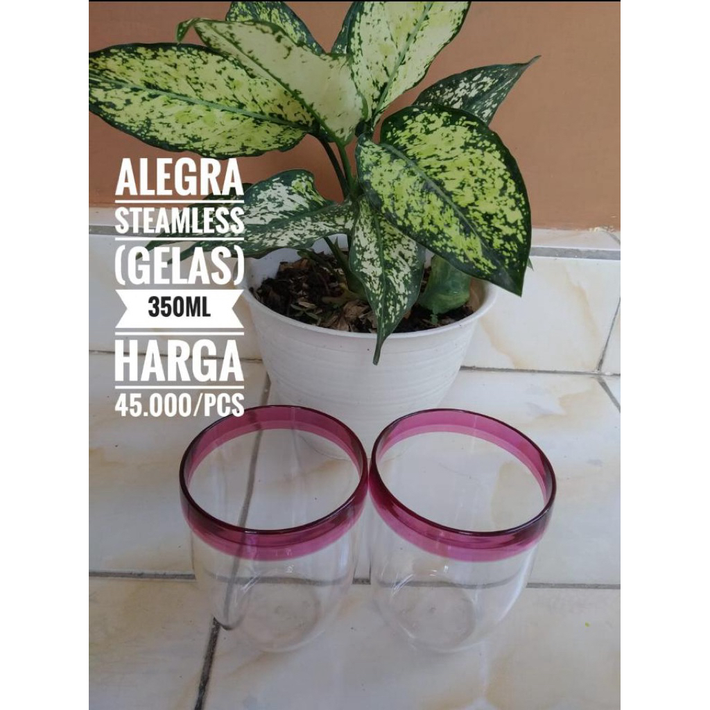 TUPPERWARE ALLEGRA STEAMLESS / GELAS TUPPERWARE/ GELAS CRYSTAL