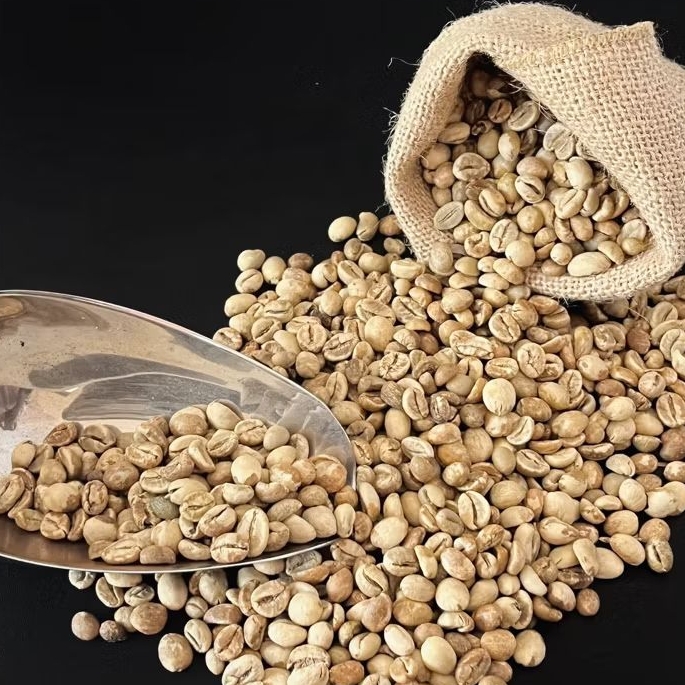 

Biji kopi Jawa Mentah Robusta Argopuro 1kg