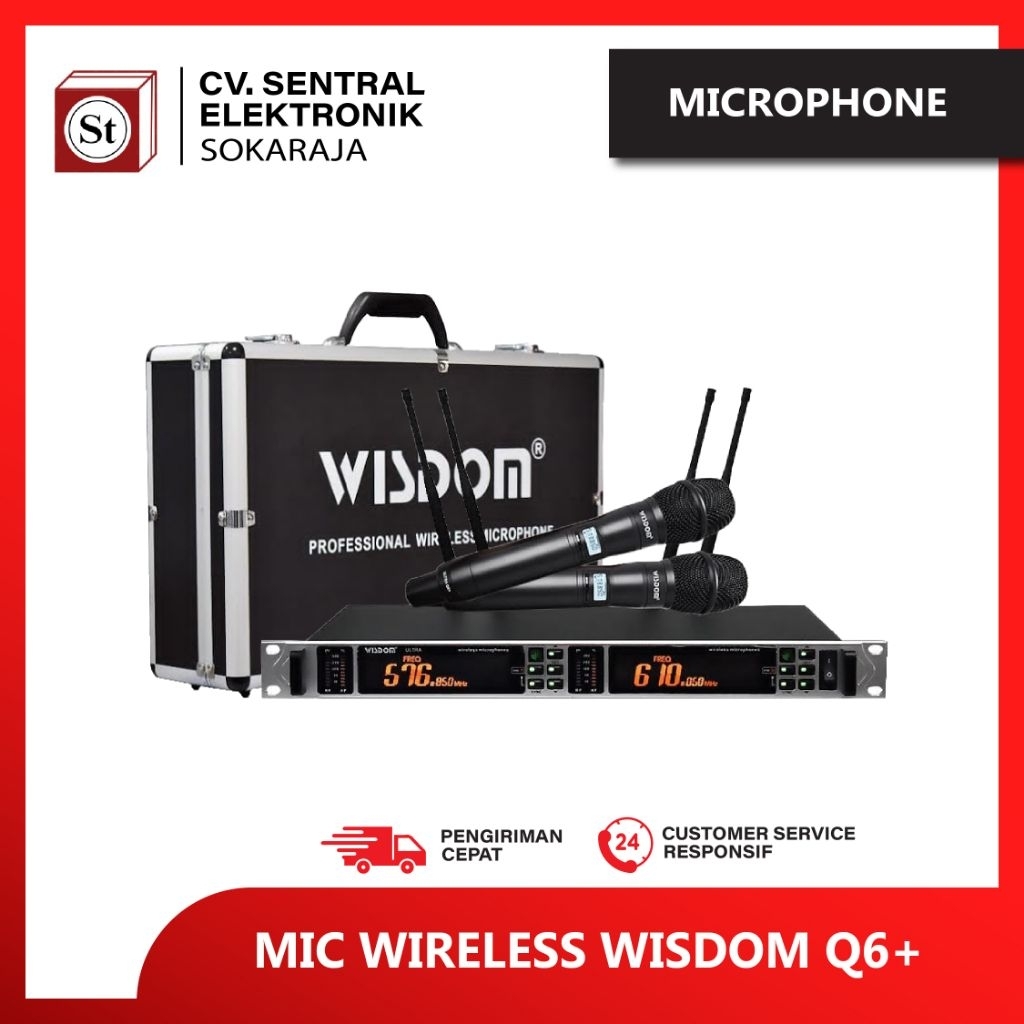 MIC WIRELES WISDOM Q6