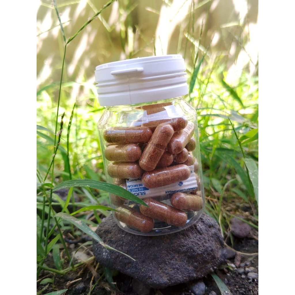 

HERBAL PINANG MUDA 100% MURNI