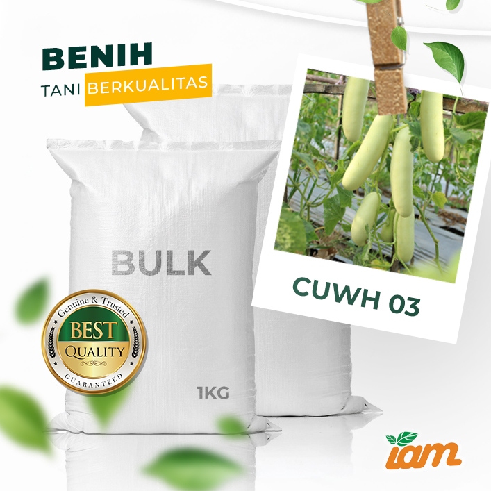 

BULK 1kg – white timun F1 (CUWH 02)