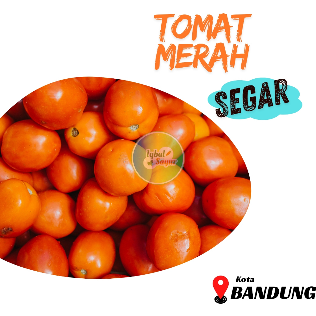 

Tomat Merah Segar Murah Bandung