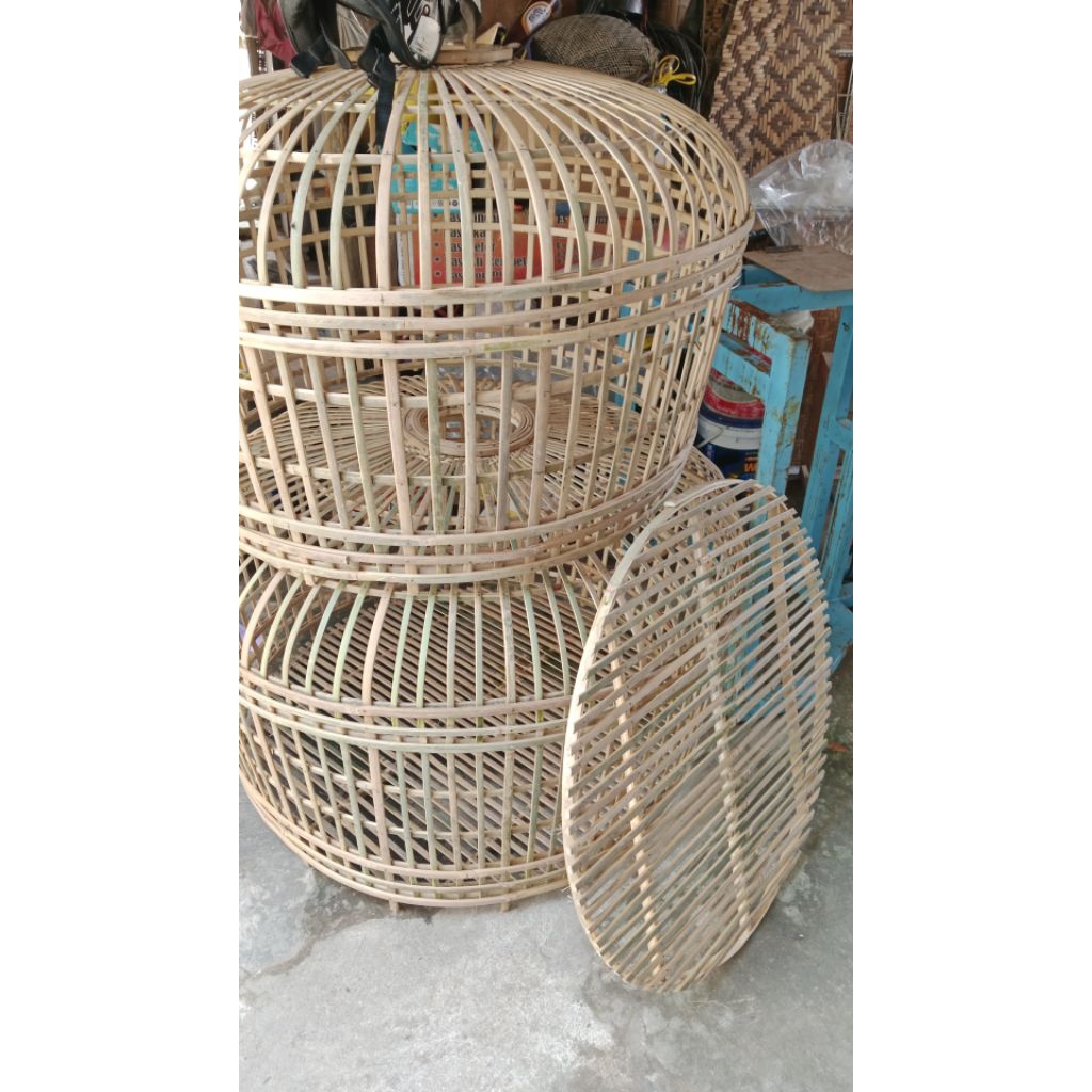 Kurungan Ayam Bundar Ayam BangkokKhusus Bandar Lampung