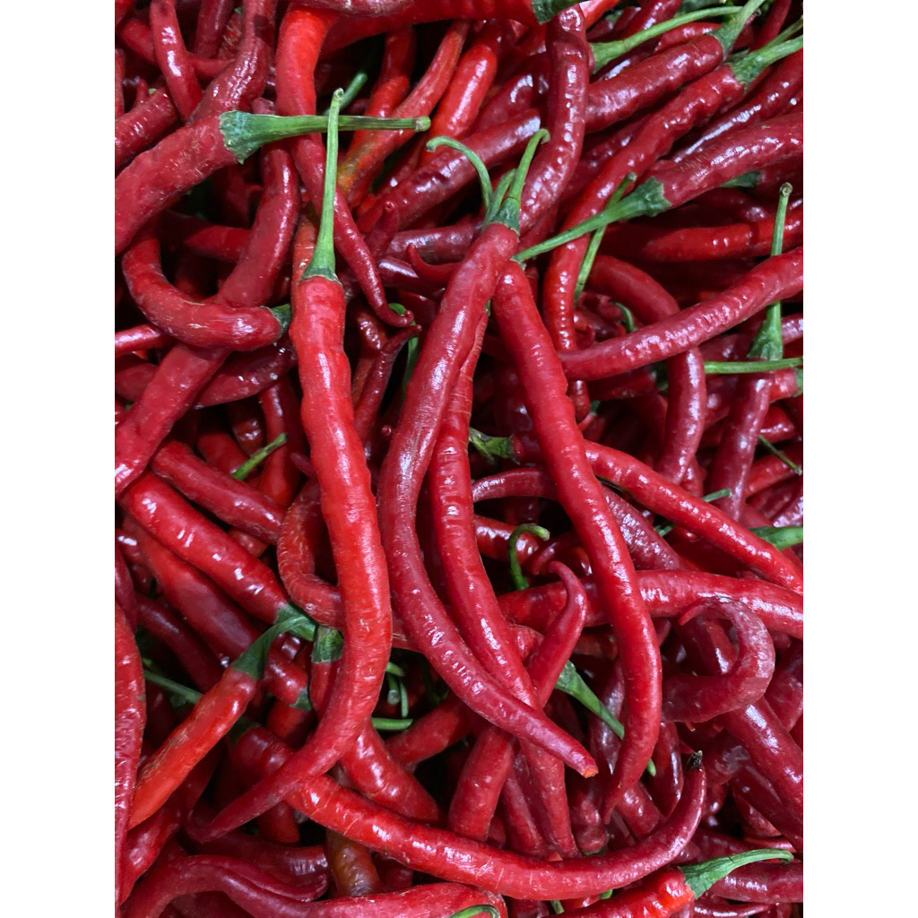 

cabe keriting imperial 500gr-250gr