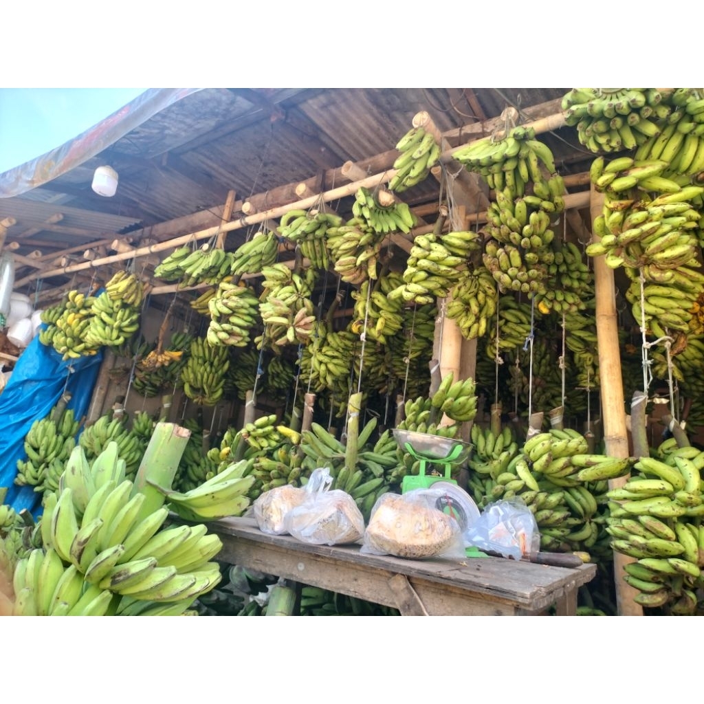 

pisang AMBON LOKAL ASLI LAMPUNG