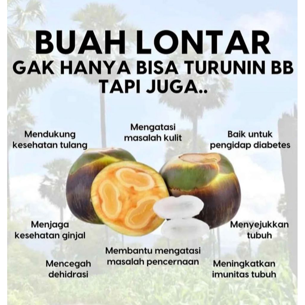 

BUAH LONTAR / SIWALAN 1 buah bulat ( isi 3 biji )
