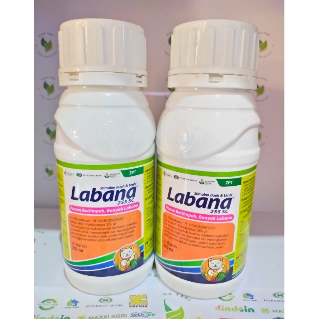 ZPT tanaman perangsang buah paklobutrazol LABANA 255SC 250ML