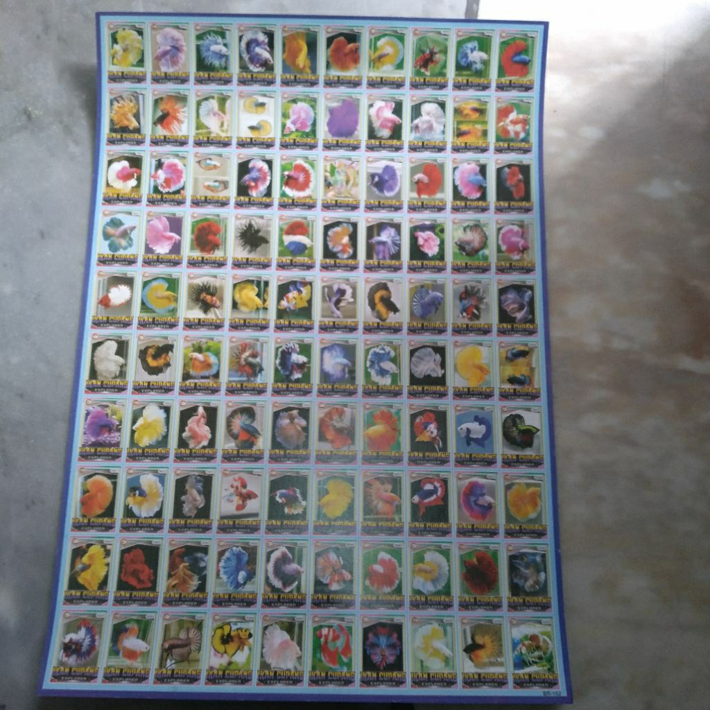 

Poster ikan cupang buat umbul/gaplokan isi 100pcs ukuran 3,3×4,8 cm