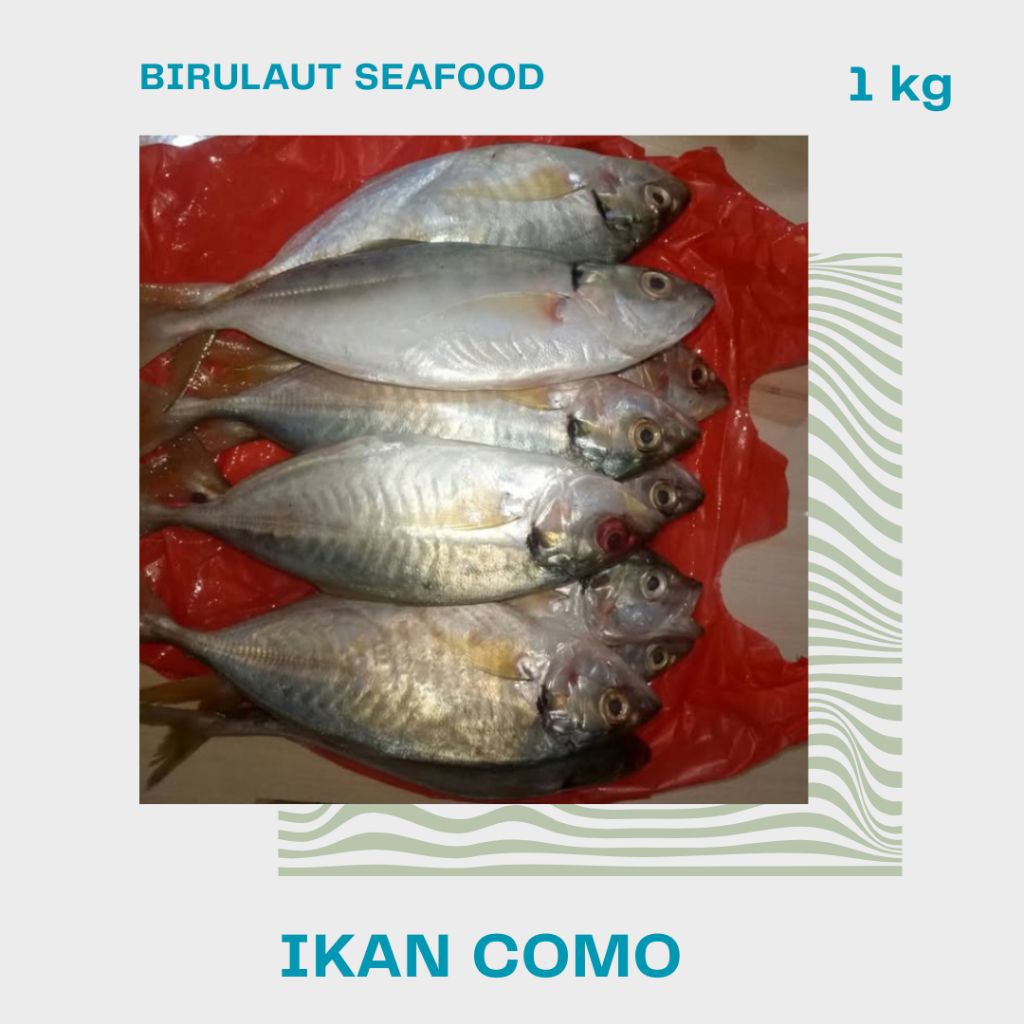

IKAN KEMBUNG COMO SEGAR 1kg