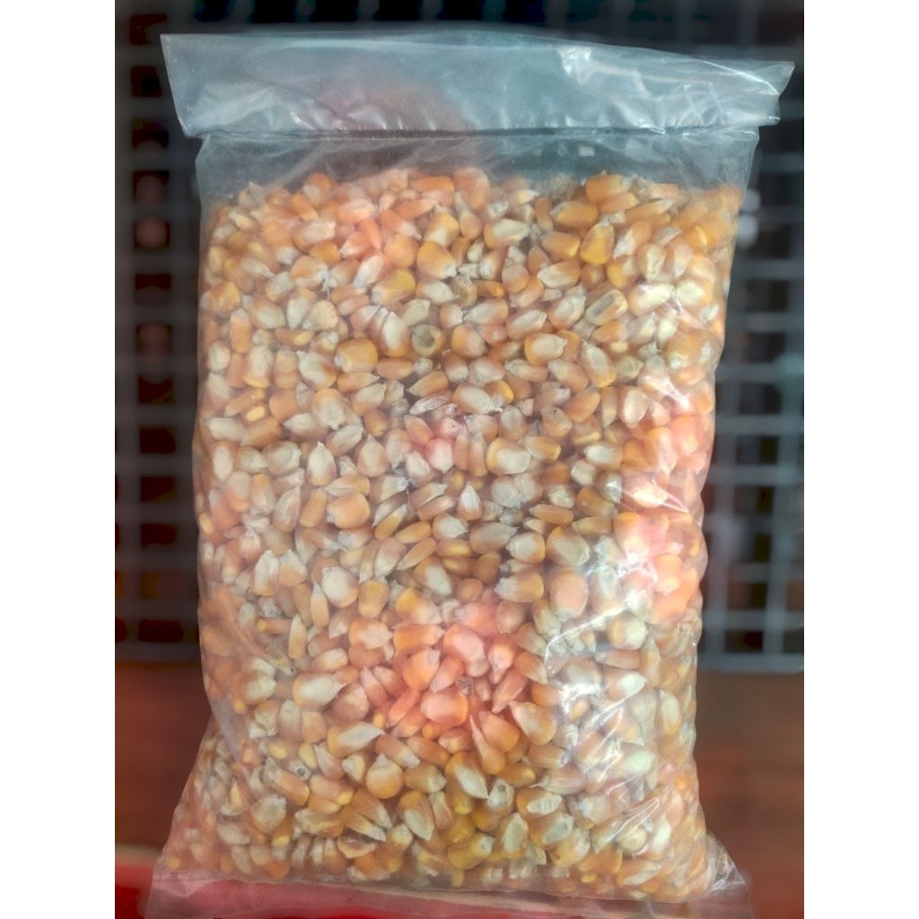 Jagung 1 kg-Pakan tambahan ayam-pakan ayam jago