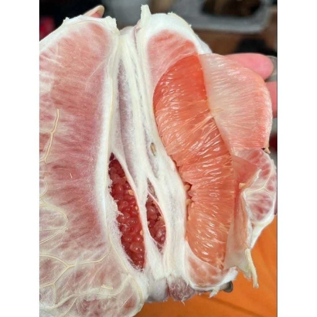 

jeruk Pamelo Madu Muria manis tanpa biji berat 700g-800g