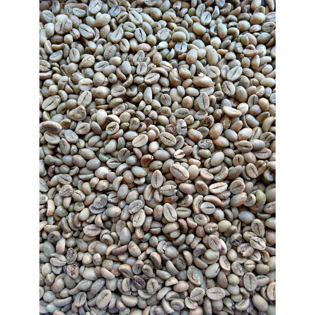 

Greenbean Robusta G1 Temanggung
