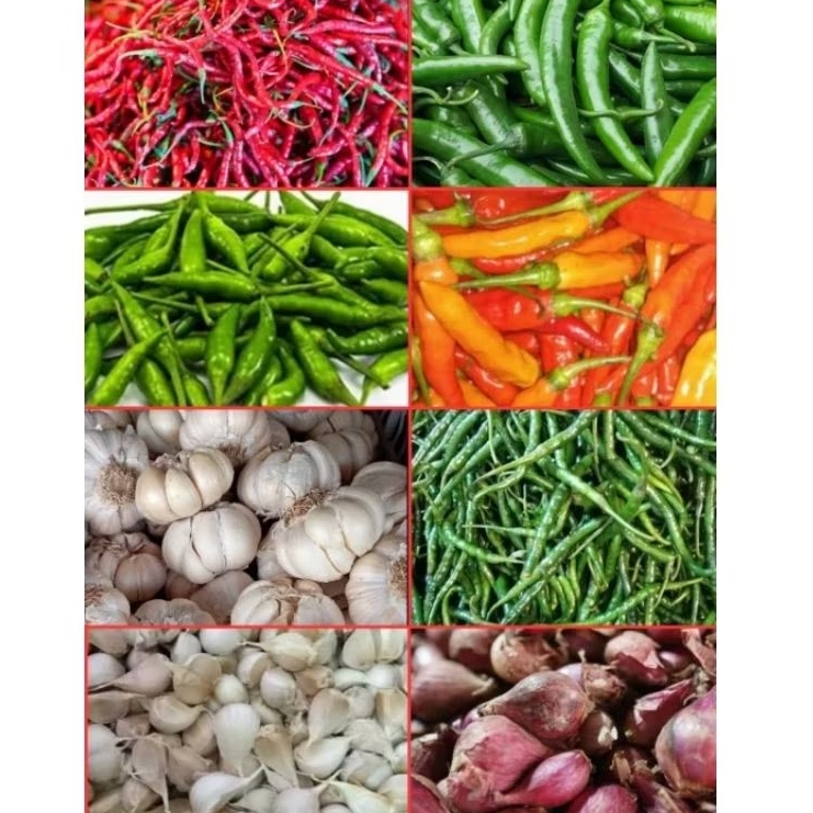 

Cabe Bawang