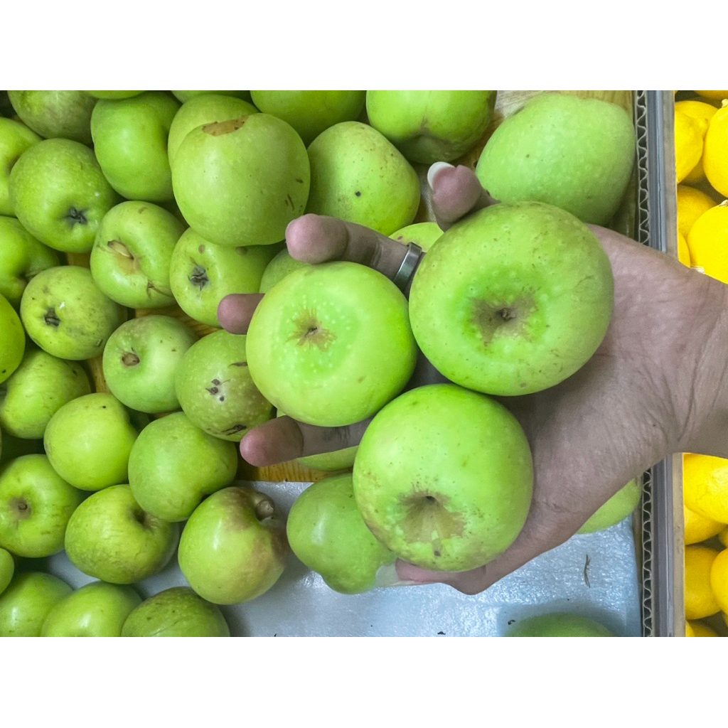 

Appel Hijau Manalagi | Appel Grend Fresh 1 kg