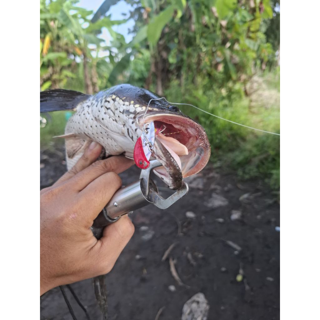 Umpan Sirip Hiu/HS berat 10grm