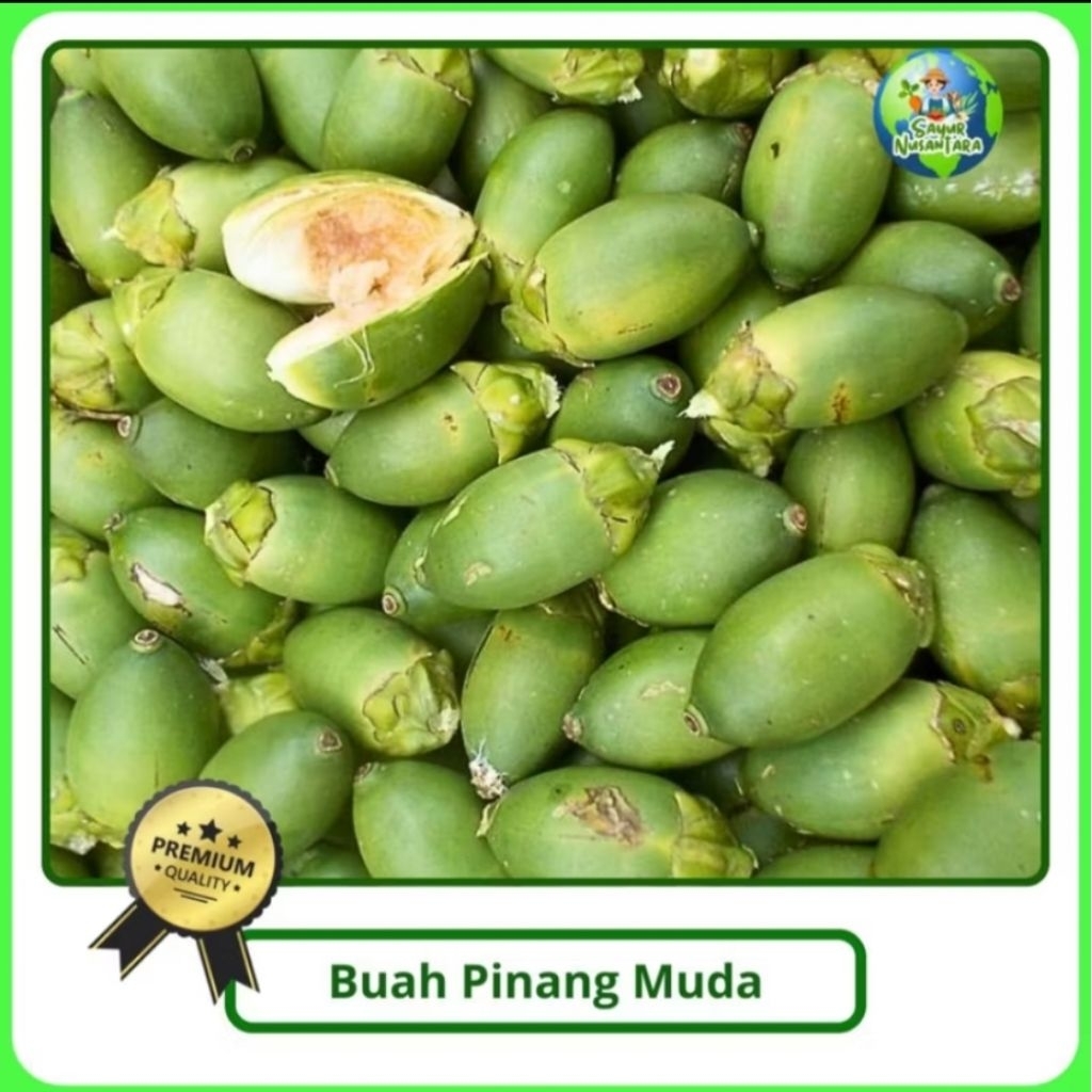 

buah pinang muda segar berat 1 kg