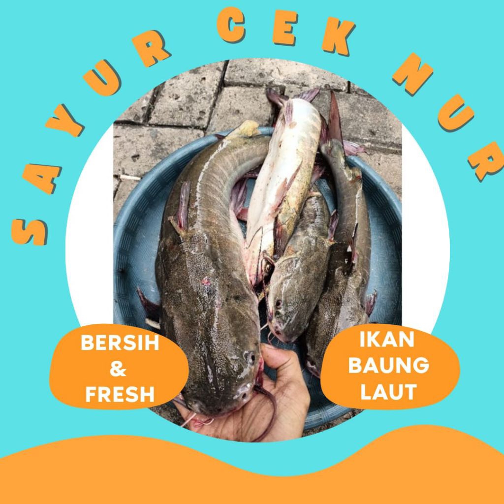 

IKAN BAUNG LAUT - INSTAN PALEMBANG