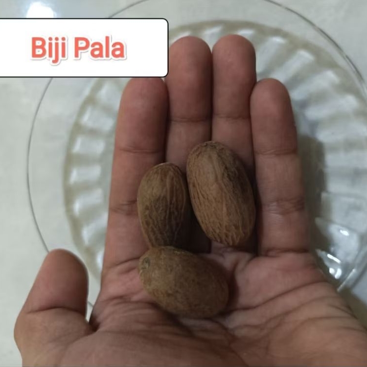 

Biji Pala Kering | Bumbu masak serbaguna gratis ongkir bisa COD