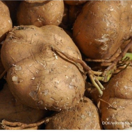 

Bengkuang 1 Kg | buah premium fresh