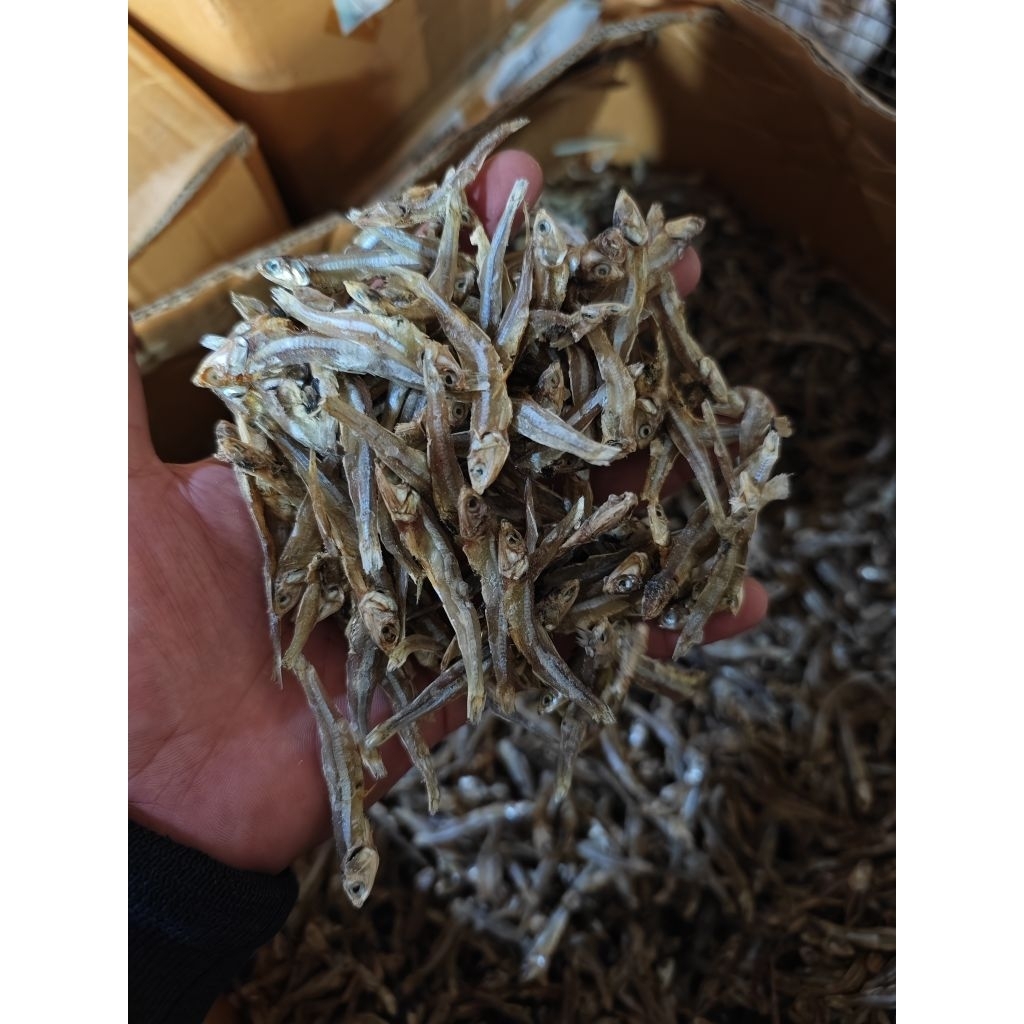 

teri tawar 500 gram tawar kecil