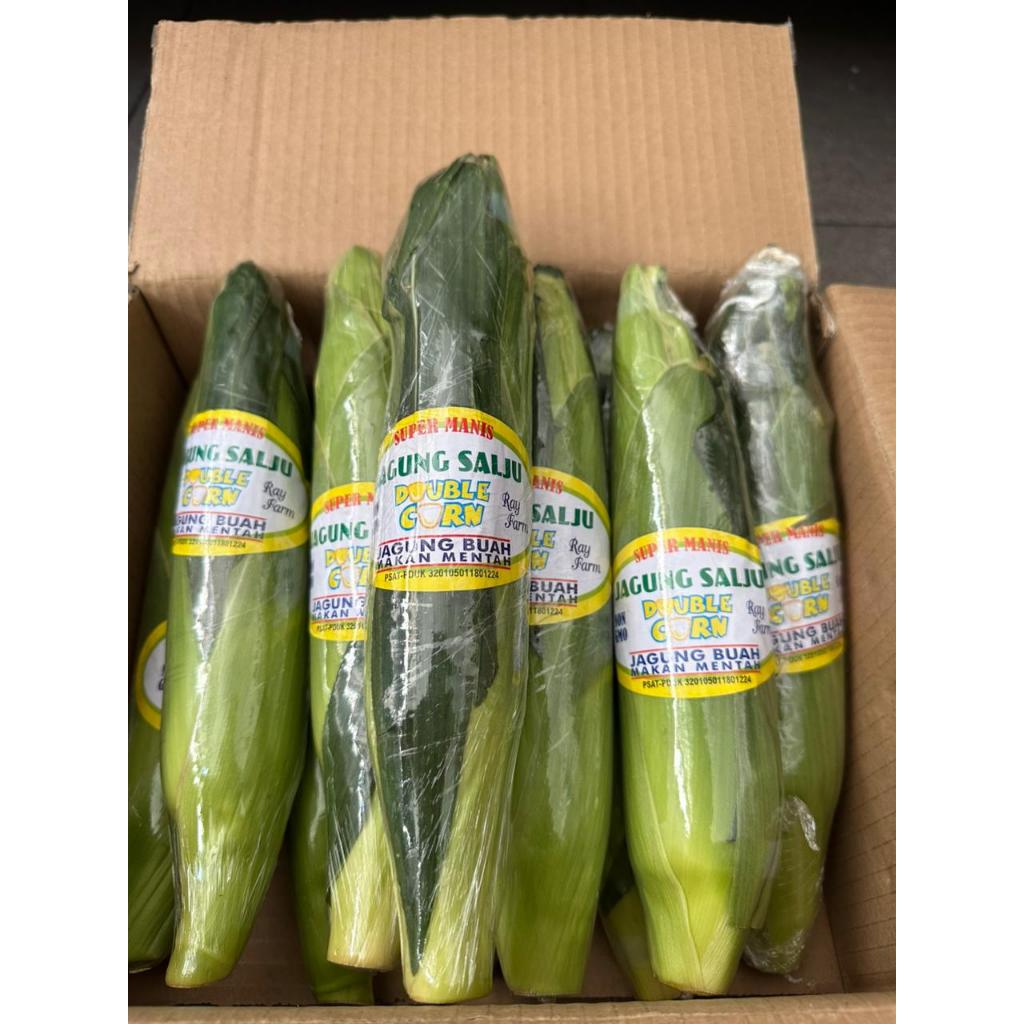 

Jagung Salju Snow White Corn Per Pcs