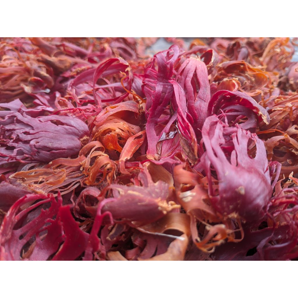 bunga pala kering super/1kg