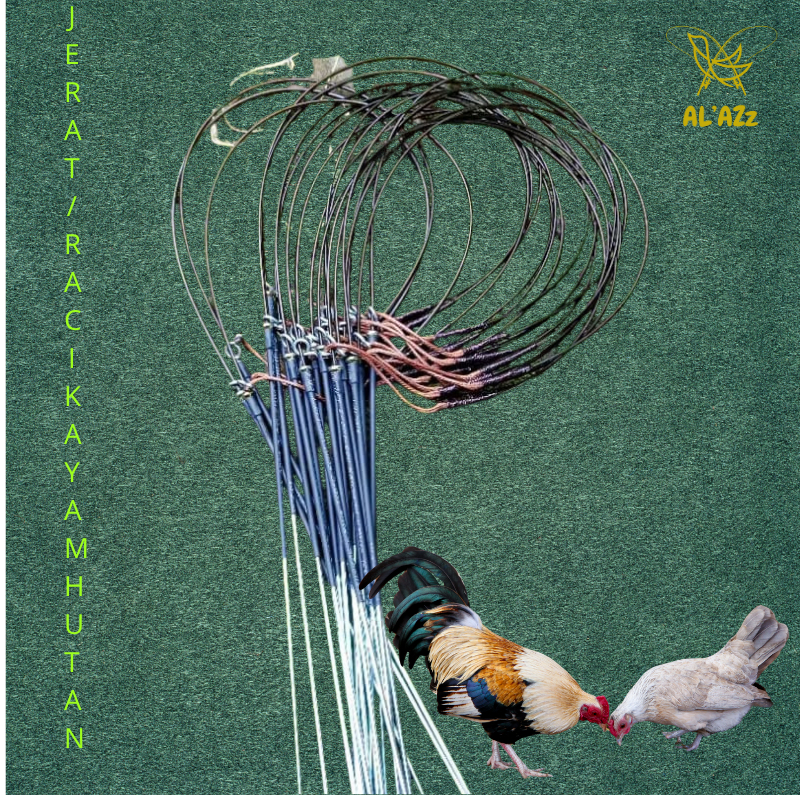 jerat ayam hutan / racik ayam hutan