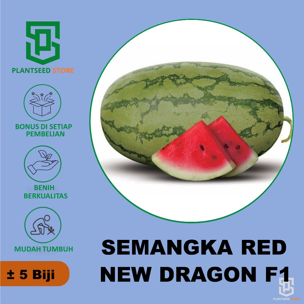 PlantSeed - 5 Benih Bibit Buah Semangka Inul RED NEW DRAGON F1