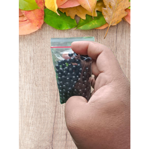 kamlang kering ayam 60pill , kamlang ayam , pill kamlang , herbal kamlang , kamlang rawatan