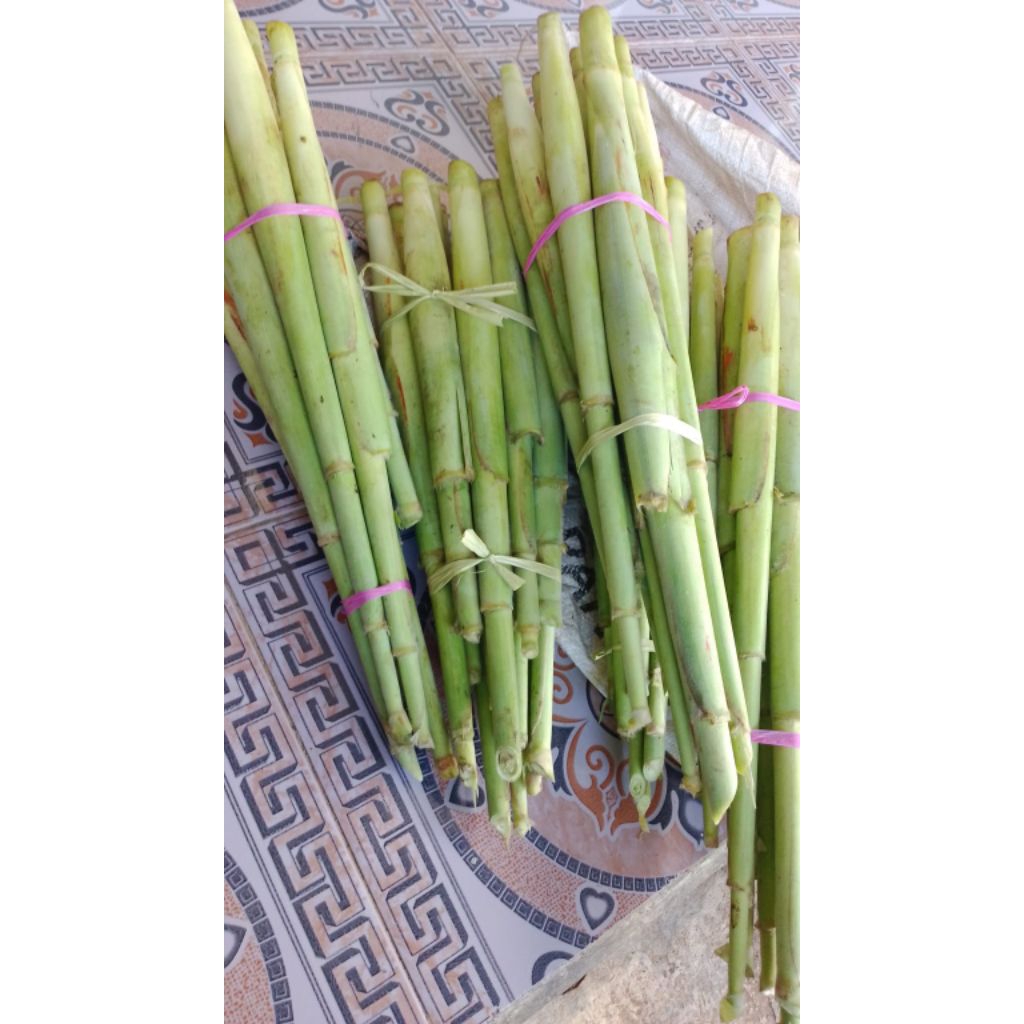 

terubuk/batang telur satu iket isi 10 biji