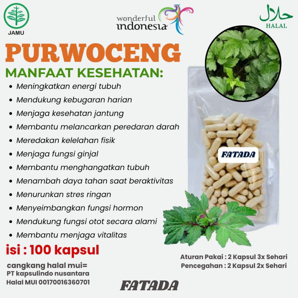 PURWOCENG KAPSUL,AKAR PURWOCENG 100 KAPSUL