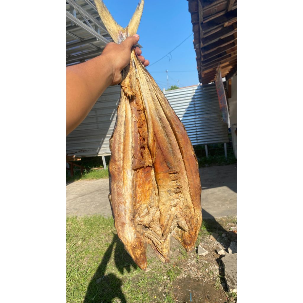 

ikan asin talang tenggiri,harga tertera adalah harga per 100 g.tersedia ikan asin fresh perekor mulai dari bobot 1 kg keatas.silahkan chat tanya tanya untuk pembelian dengan berat bobot yang dibutuhkan,terima kasih.