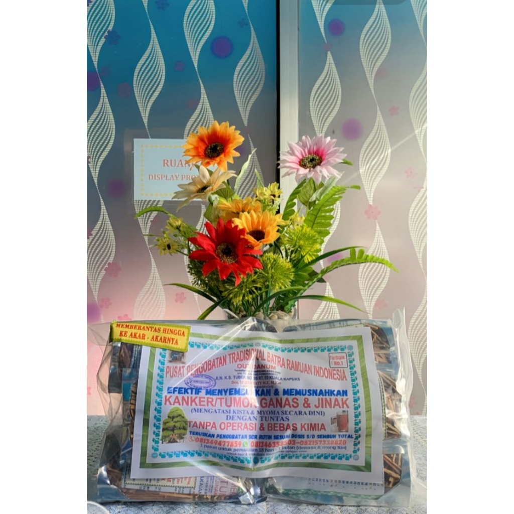 

HERBAL PEMUSNAH KANKER TERBAIK NO.1 + KAPSUL PENDAMPING