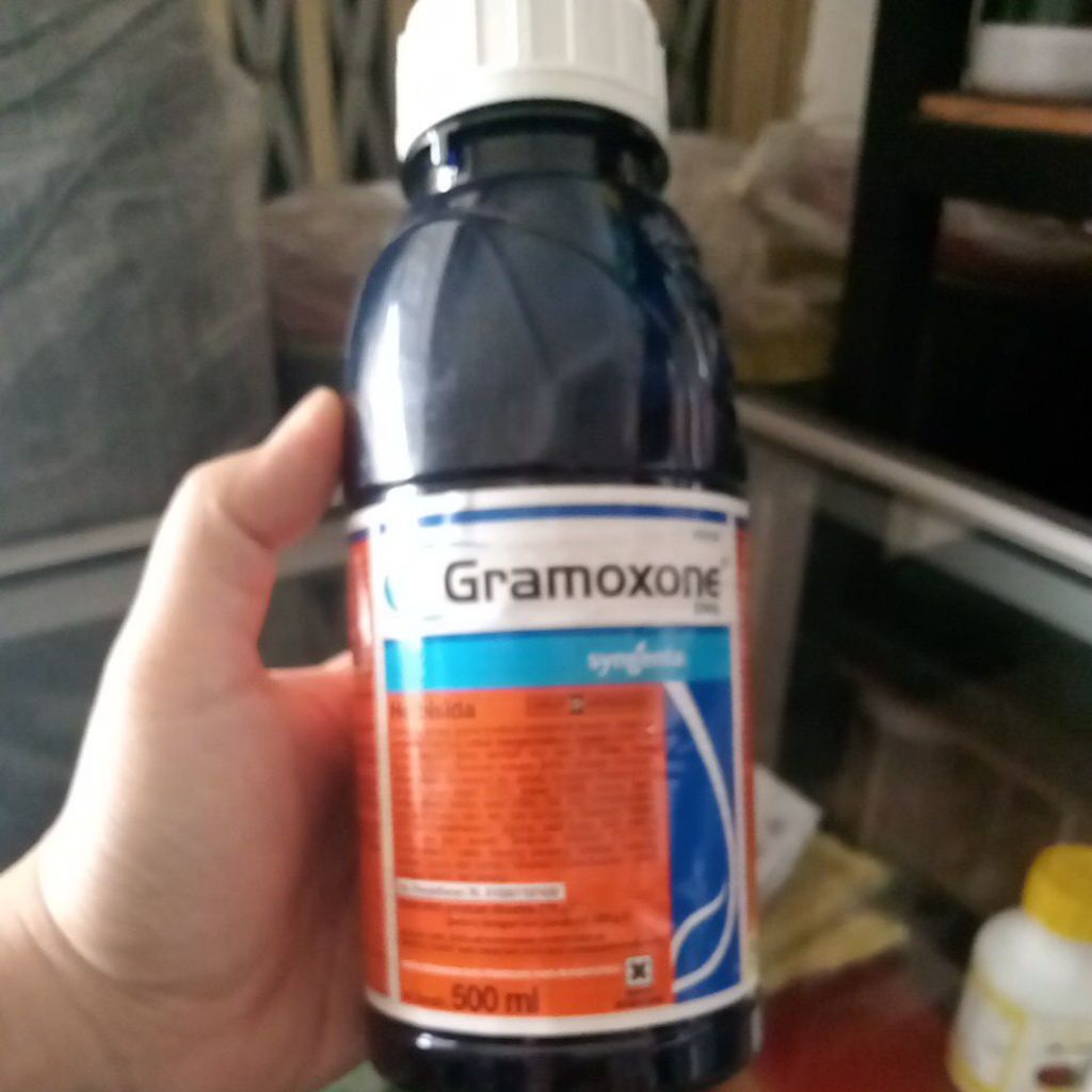 obat rumput gramoxone 500ml