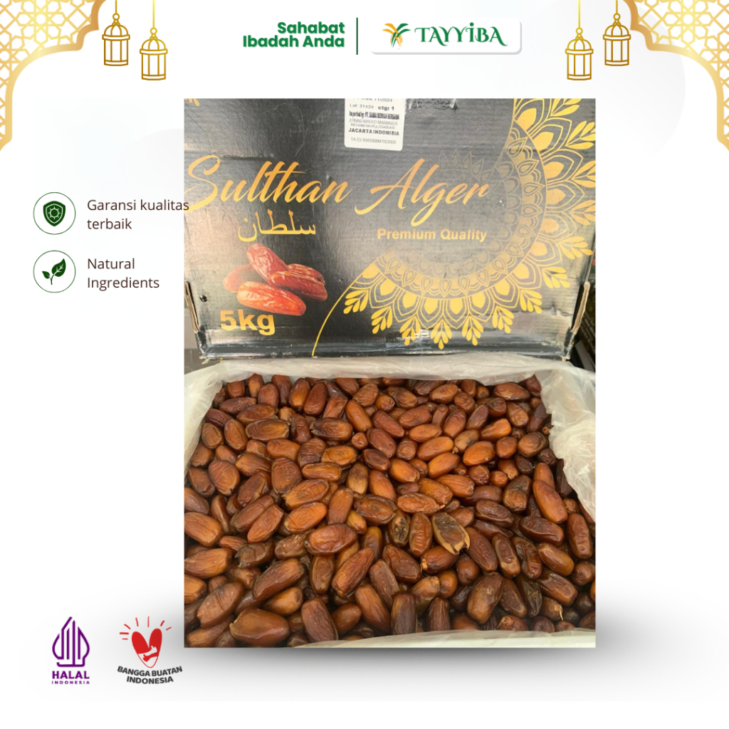 

Kurma Tunisia Madu 250g Oleh-Oleh Haji Umroh Kurma Murah Tunis Madu - 250g