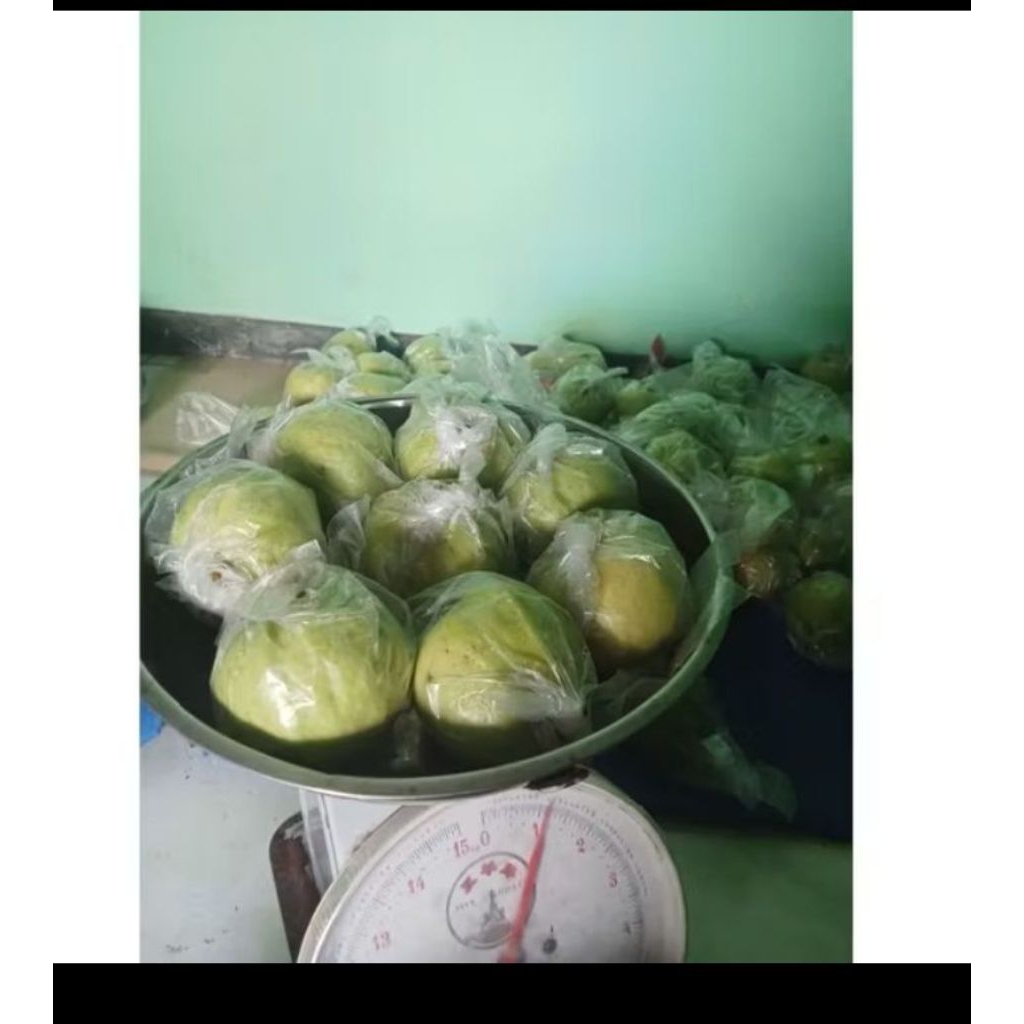 

jambu kristal 1kg isi7-8