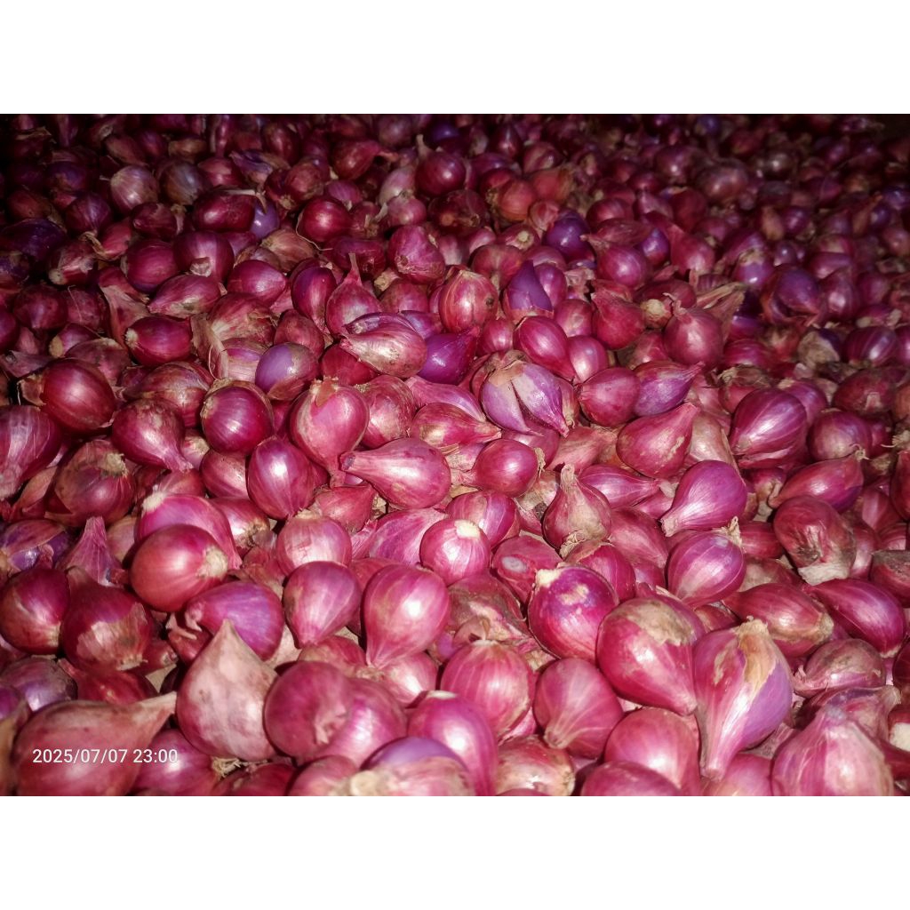 

Bawang Merah Probolinggo Tanggung 500gr