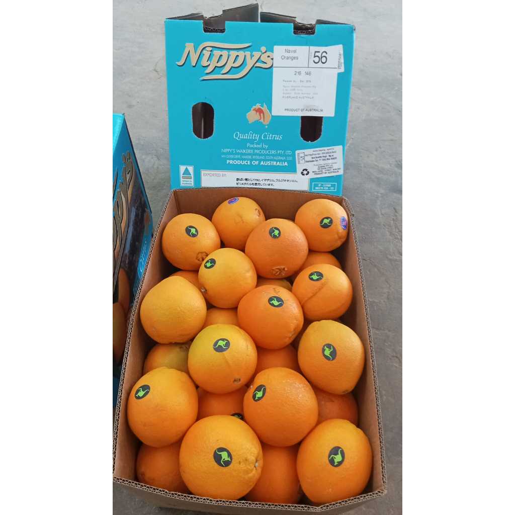 

Jeruk Sunkist Navel Oranges Australia 450 - 500 gr