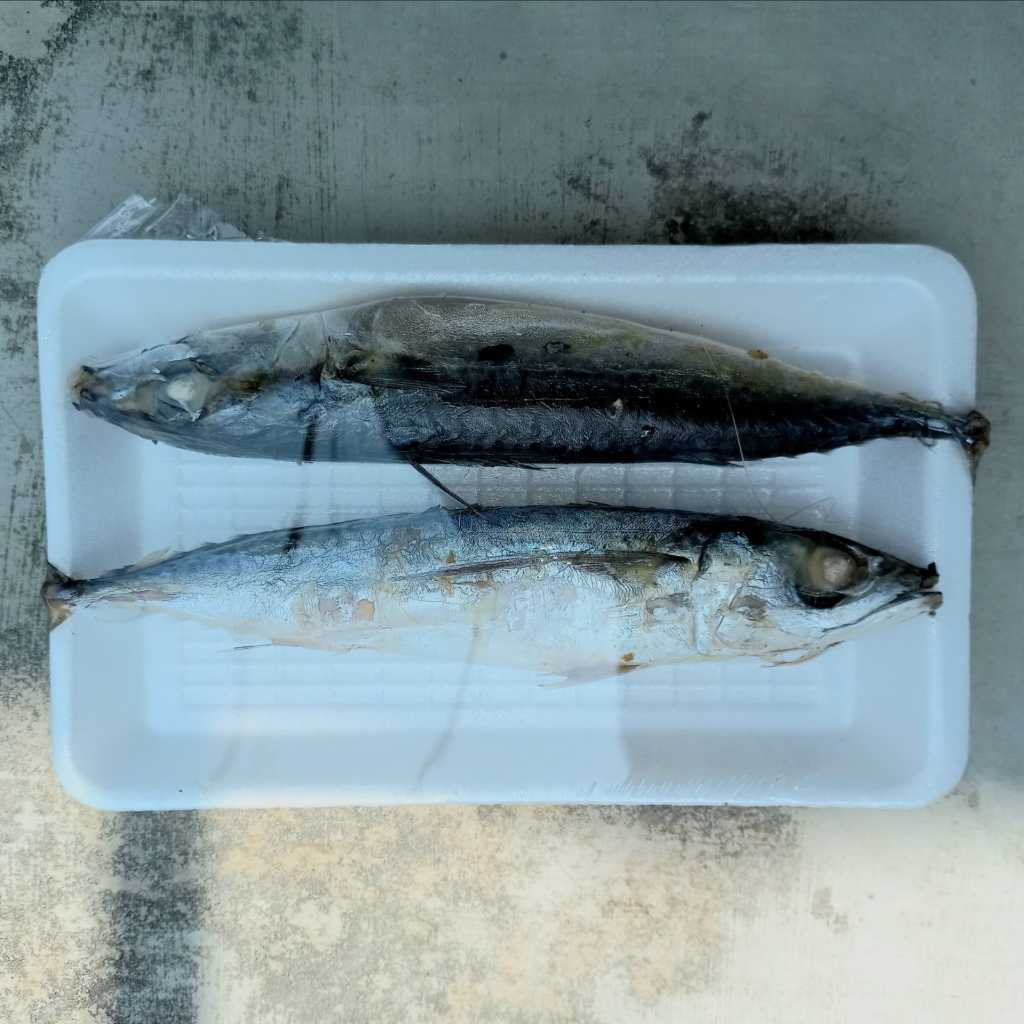 

Ikan Pindang Salem - Sayur Segar Instan Malang