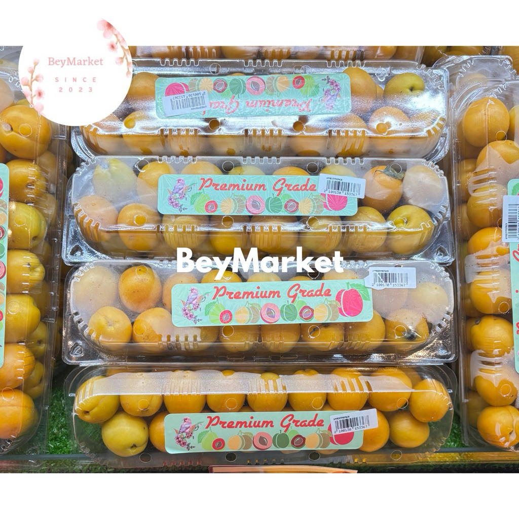 

Buah Apricot Premium Pack 600g | Buah Apricot Fresh
