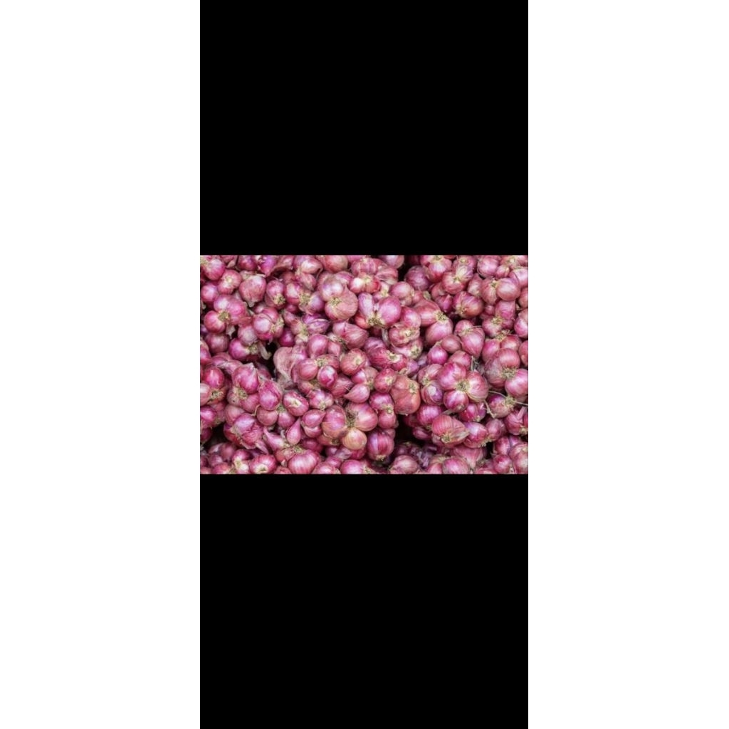 

bawang merah