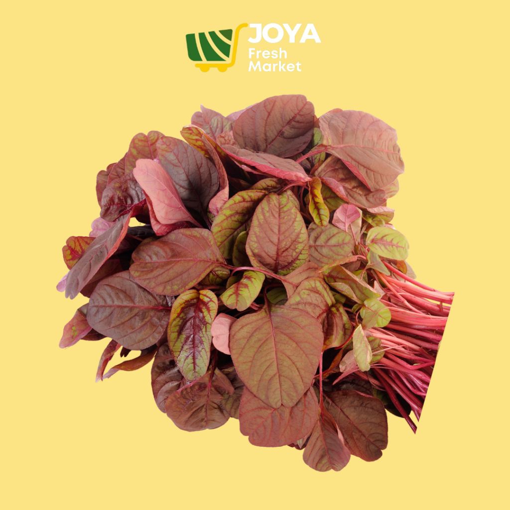 

Joya Fresh - Bayam Merah Segar/Sayuran Segar/Bayam Merah Per Ikat/Sayuran Ikat