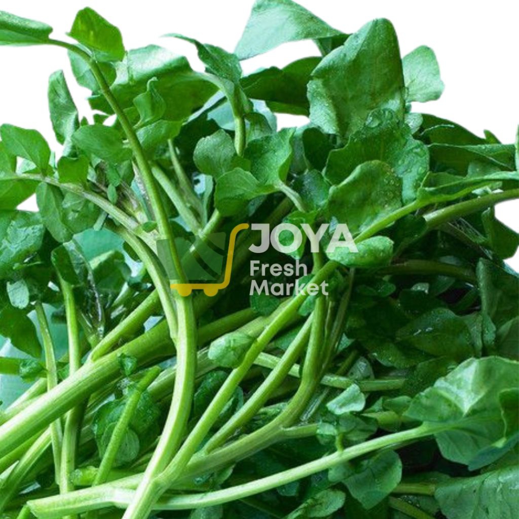 

Joya Fresh - Selada Air Segar/Sayuran Segar/Selada Air Per Ikat/Sayur Paret/Sayuran Ikat