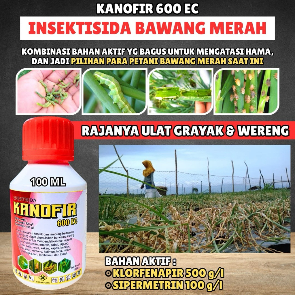 Insektisida Ulat Paling Ampuh SISTEMIK KANOFIR 600 EC