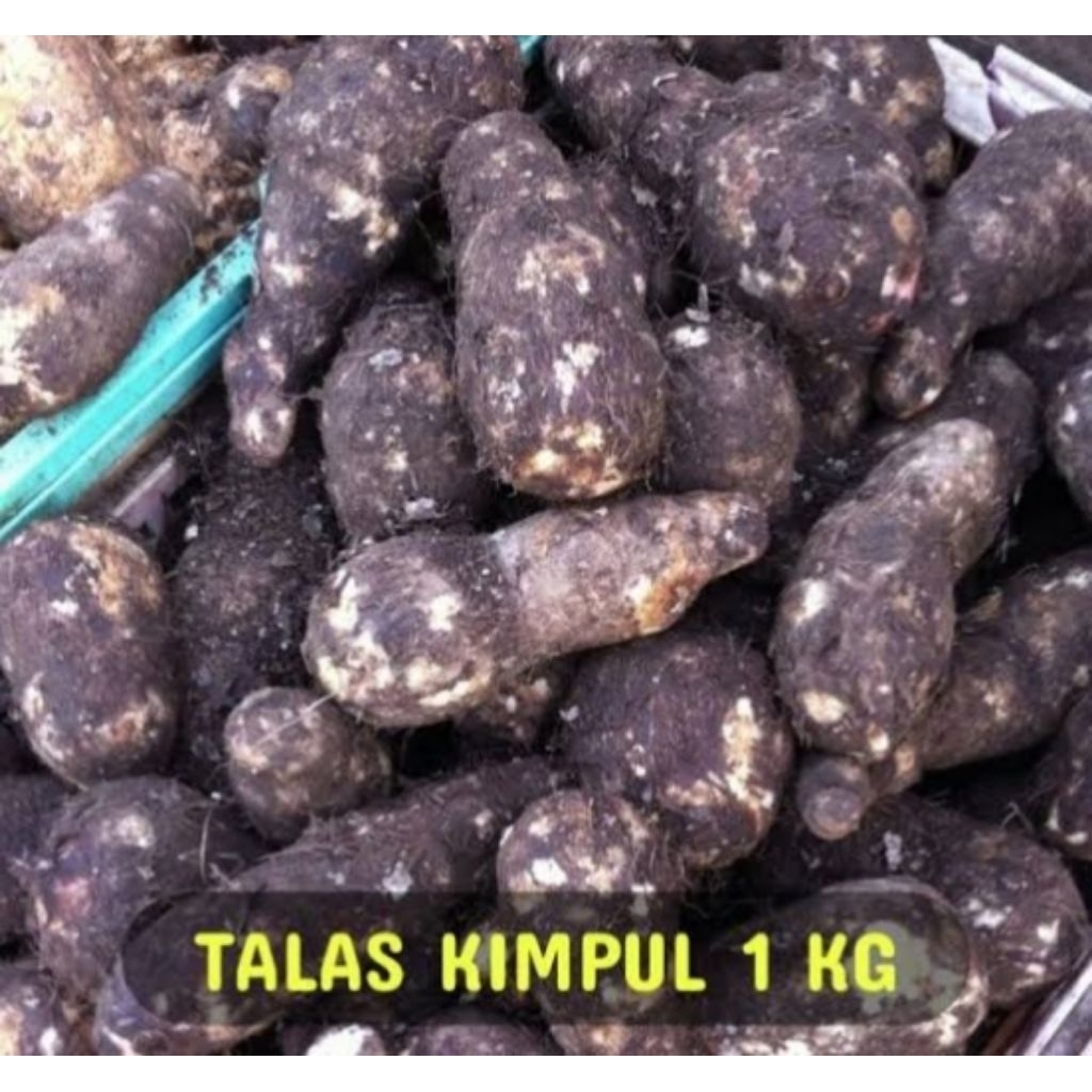 

Talas Belitung Kimpul Tua Fressh 1kg